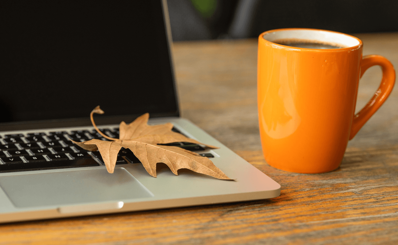 7 Services That Are Way Too Good